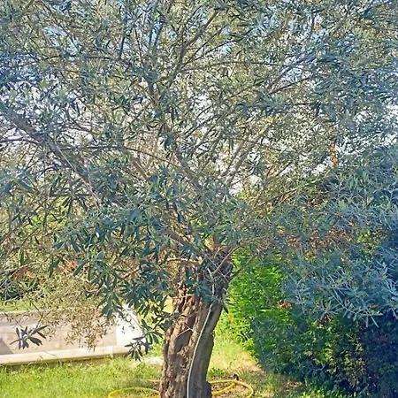 Nyaraló Antonina Crecchio