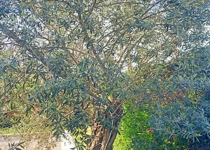 Holiday home Antonina Crecchio